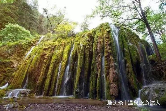大金狮逃生