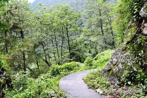 家里床铺上、地上频繁出现这种虫子，请问是啥虫子？好可怕...怎么消灭？在线等游戏画面