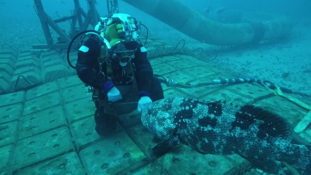 海盗的寻宝之旅