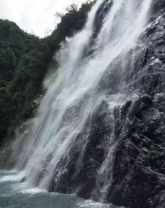浙江卫视推出新综艺追我吧，嘉宾的选择有何玄机？游戏画面