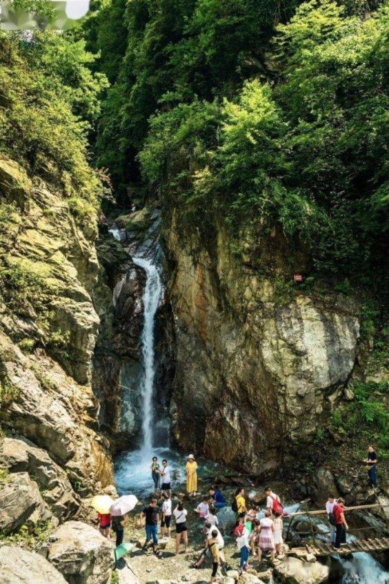 冬天自己泡“药酒”喝靠谱吗?专辑只要不犯这3个错误,建议了解