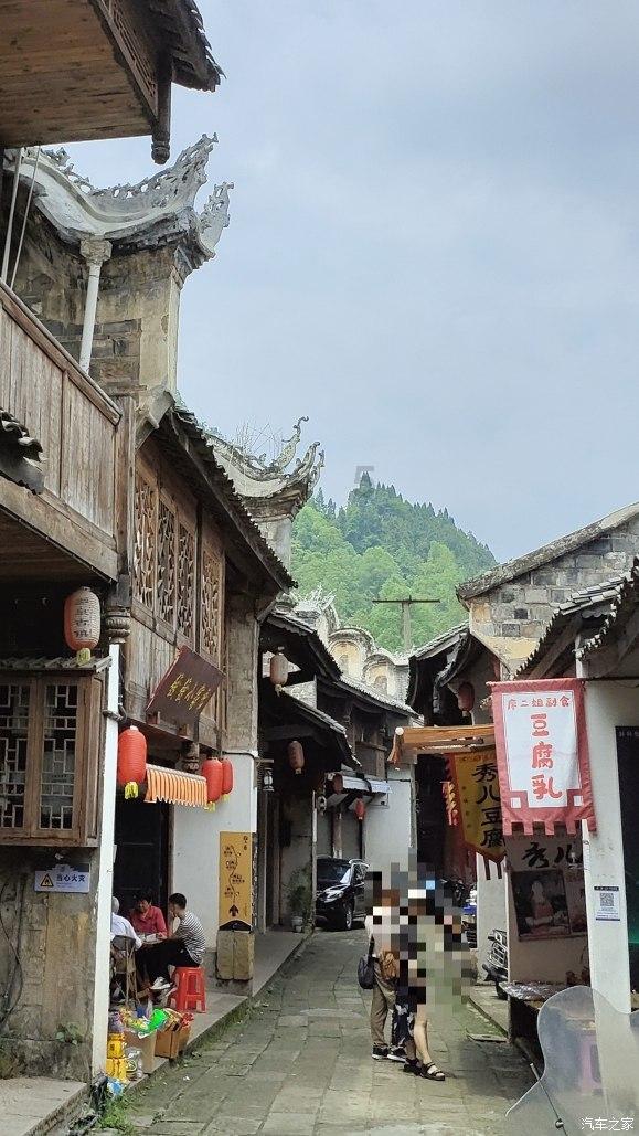 寻找萌宠松鼠