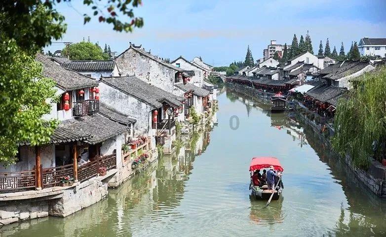 京酱杏鲍菇的做法？游戏画面