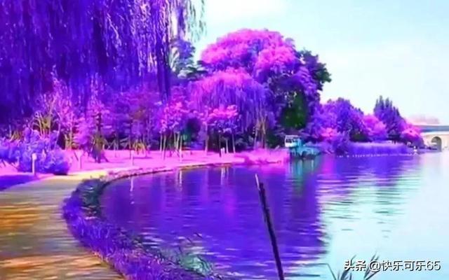 怎样和妈妈相处？游戏画面